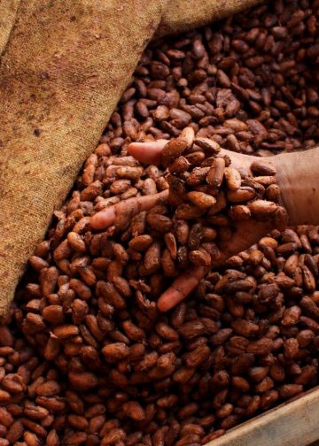 Producer Price of Cocoa increased by 21 percent