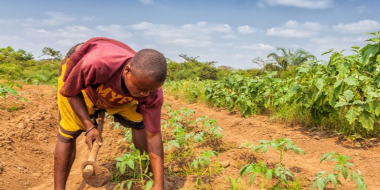 repairing the broken food system