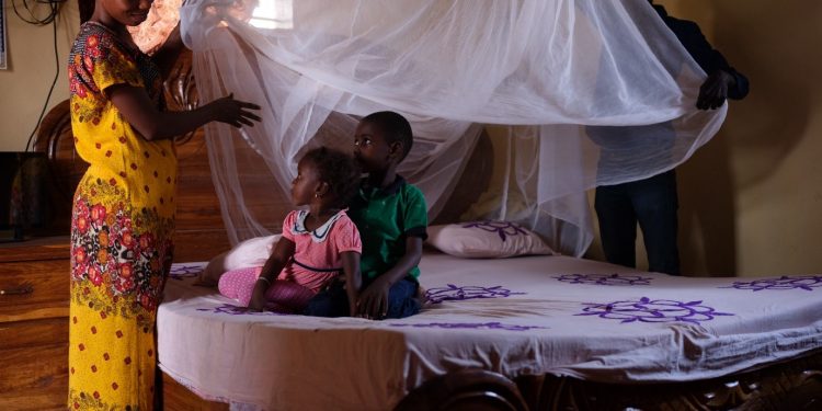 Farmers fear malaria spike