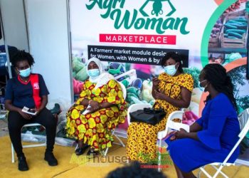 Agric woman marketplace