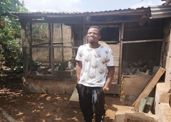 Farmer Ayotomiwa Ogunsua