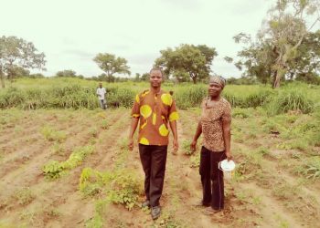 small farmers