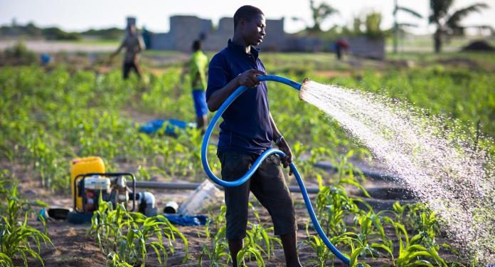 smallholder farmer