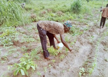women farmers.2