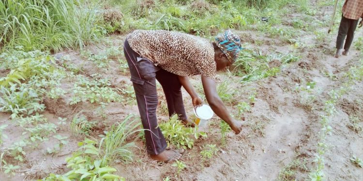 women farmers.2