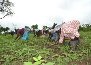 rural farmers 1 agric