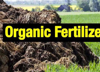 organic fertiliser