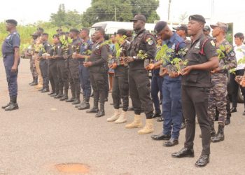 POLICE PLANT TREES