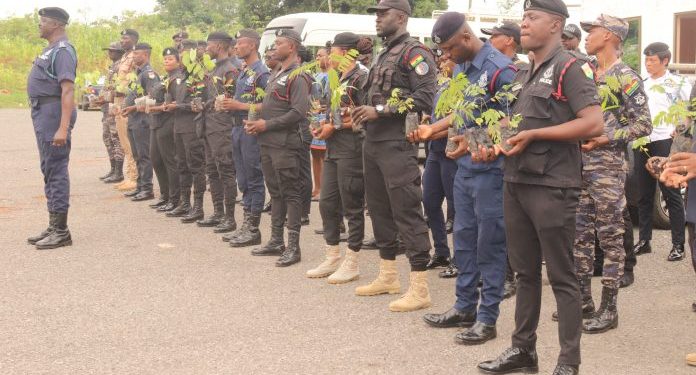 POLICE PLANT TREES