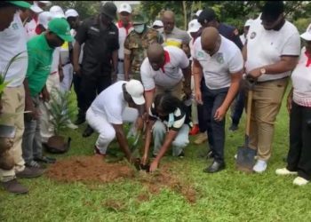 green ghana