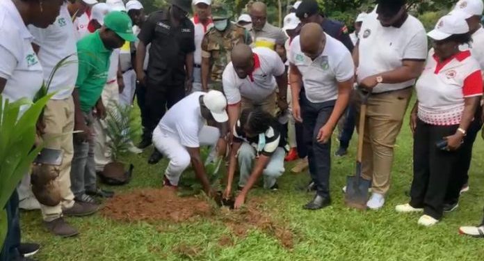 green ghana