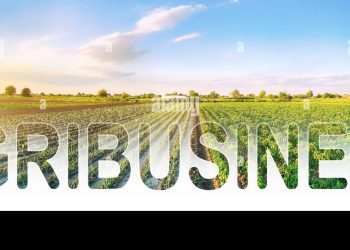 word inscription agribusiness on agricultural plantation field crop and livestock growers agroindustry food industry production of farm products f 2B816KA