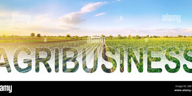 word inscription agribusiness on agricultural plantation field crop and livestock growers agroindustry food industry production of farm products f 2B816KA