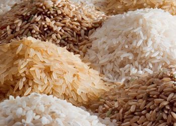 RICE