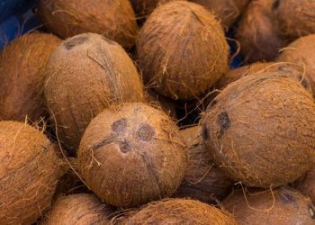 COCONUT