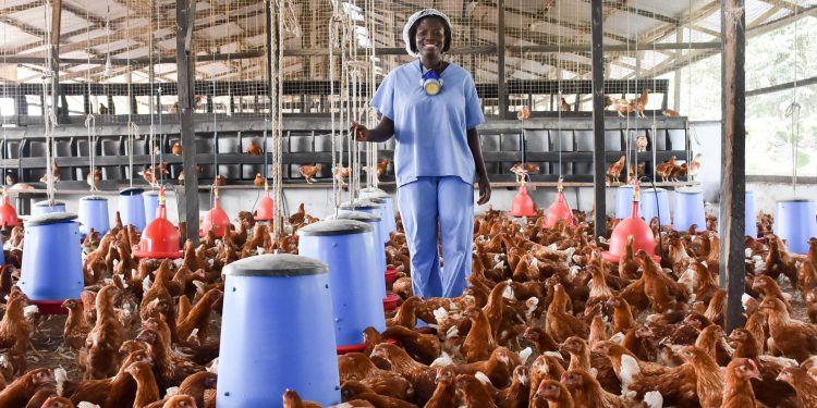WOMEN IN POULTRY