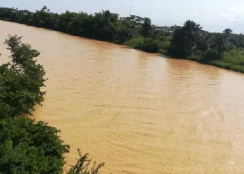 illegal mining