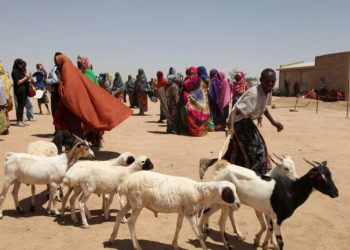 FAO reaches people faced with food insecurity