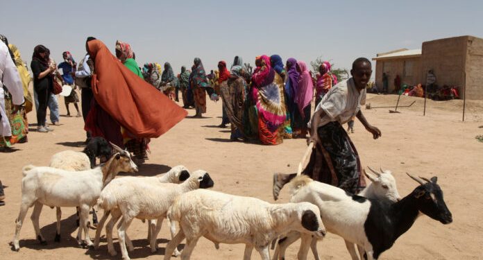FAO reaches people faced with food insecurity