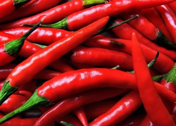 chilli pepper