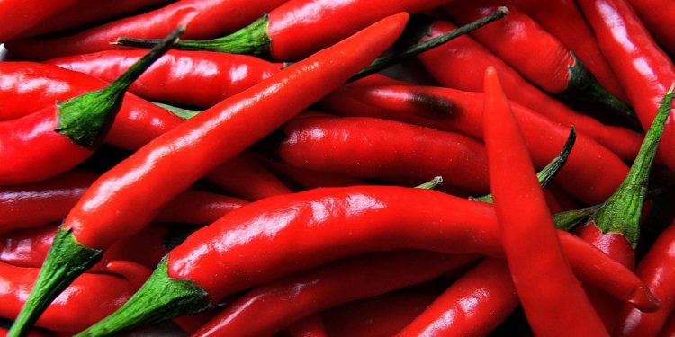 chilli pepper