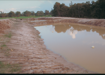 irrigation