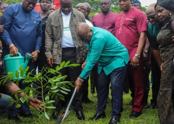 Green ghana