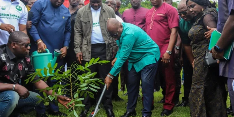 Green ghana