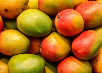 MANGO 2