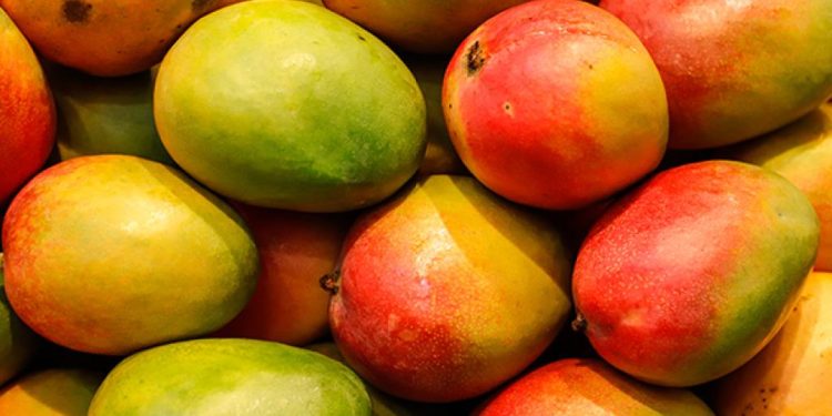 MANGO 2