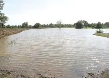 DAM