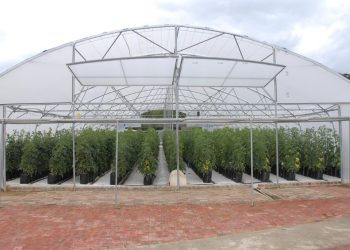 Greenhouse farm