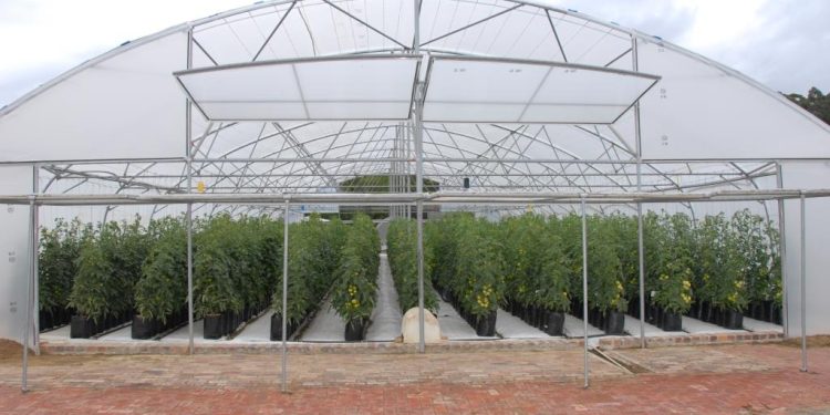 Greenhouse farm