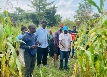 Science Farmers Field 1