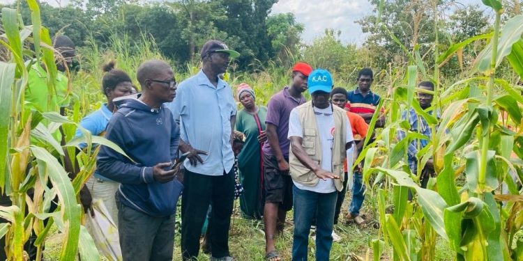 Science Farmers Field 1