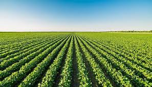 agric