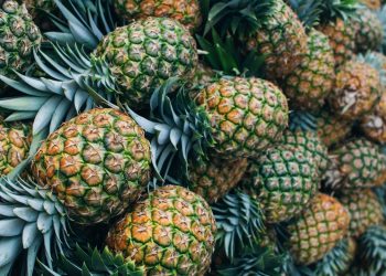pineapple