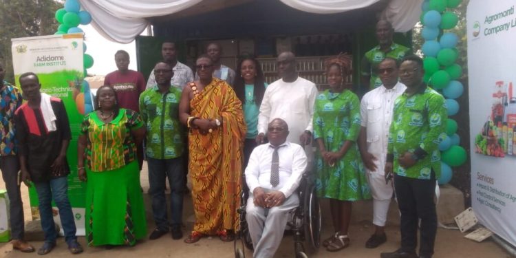 Adidome agric student wins award