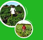 Total LandCare