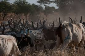 farmer herder