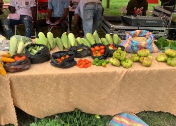 agric fair