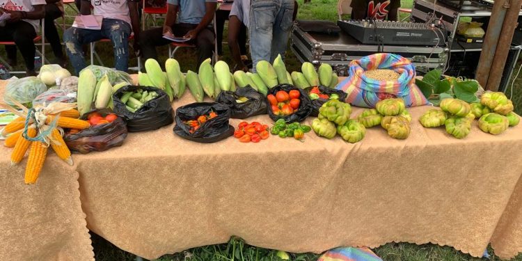 agric fair