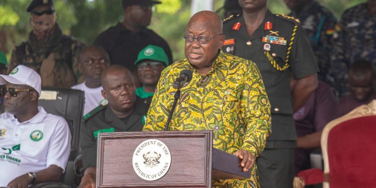 green ghana 2024