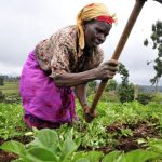 World Vision Ghana (WVG)