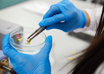 Self Destructing plastic Biotransformation Technology scaled