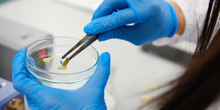 Self Destructing plastic Biotransformation Technology scaled