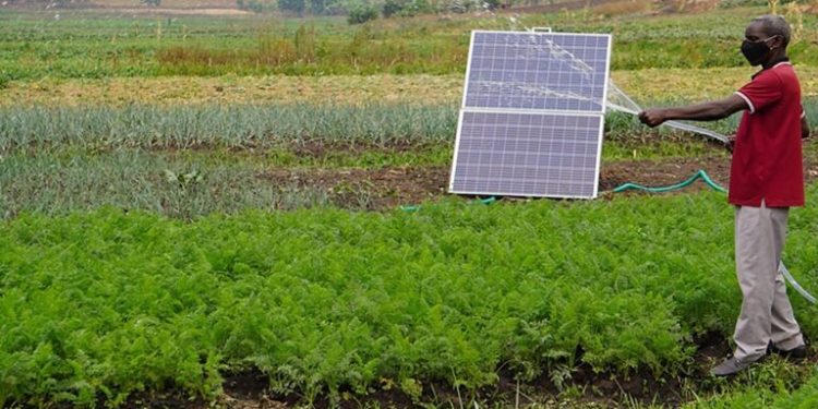 Smallholder
