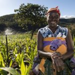 Seven United Nations entities have released the latest hunger figures for countries of Europe and Central Asia, exploring the linkages among improved water management, sustainable agriculture and food security. ©FAO/Sergey Kozmin