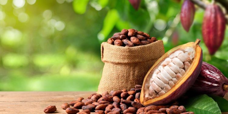 COCOBOD emblem representing Ghana Cocoa Board supporting cocoa production and farmers