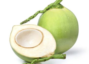 Photo of fresh coconuts in Ghana, showcasing local farming practices and their relevance to agriculture news Ghana, farming updates.